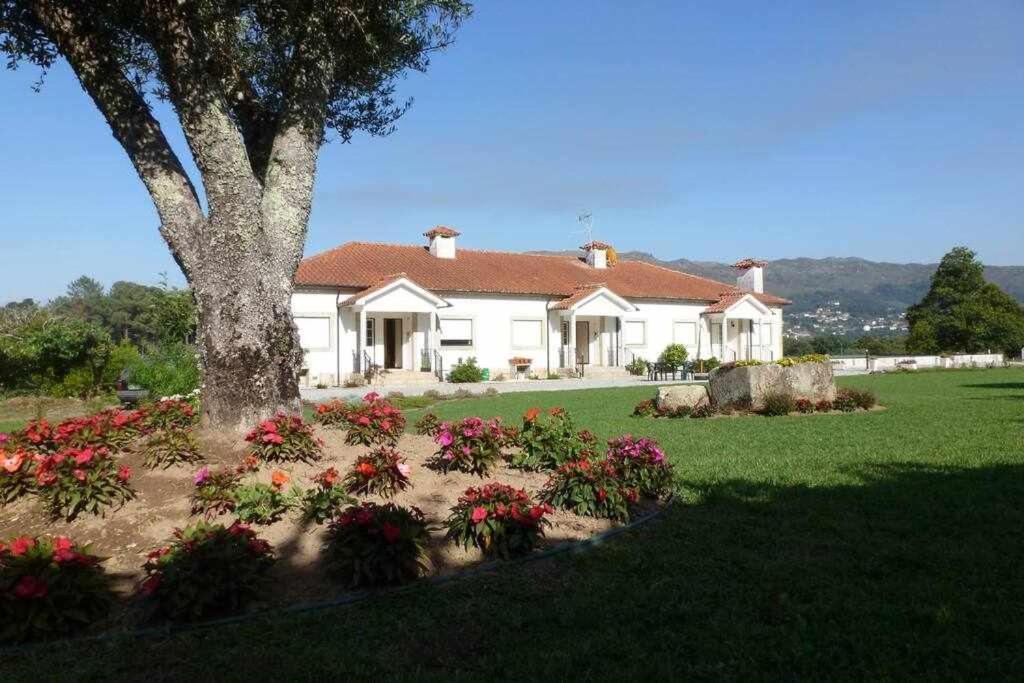 Appartement Quinta Dos Brazilaves - Ponte De Lima Extérieur photo